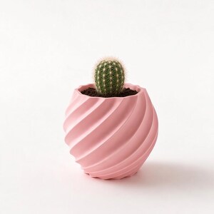 Op de afbeelding: Een kleine, ronde, lichtroze plantenpot met een spiraalvormige, geribbelde textuur. De pot bevat een kleine, groene, bolvormige cactus met fijne, lichtgekleurde stekels, geplant in donkerbruine aarde in het midden van de opening.