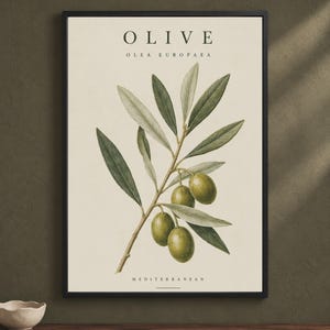May include: A framed botanical wall art print featuring an olive branch with green leaves and three olives. The text reads OLIVE, OLEA EUROPAEA, and MEDITERRANEAN. The print has a cream-coloured background and is enclosed in a thin black frame.