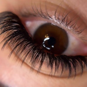 Könnte beinhalten: Ein braunes Auge mit langen, dunklen und voluminösen Wimpernverlängerungen. Die Wimpern sind dicht entlang des oberen Augenlids angebracht, was für ein volles und definiertes Aussehen sorgt. Eine helle Lichtreflexion ist auf der Iris zu sehen.