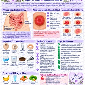 Op de afbeelding: Een educatieve infographic getiteld Colostomy Care met diagrammen van de menselijke dikke darm, een gezond stoma en veelvoorkomende complicaties. Het bevat lijsten met medische benodigdheden, dagelijkse verzorgingsstappen, tips en noodadvies.