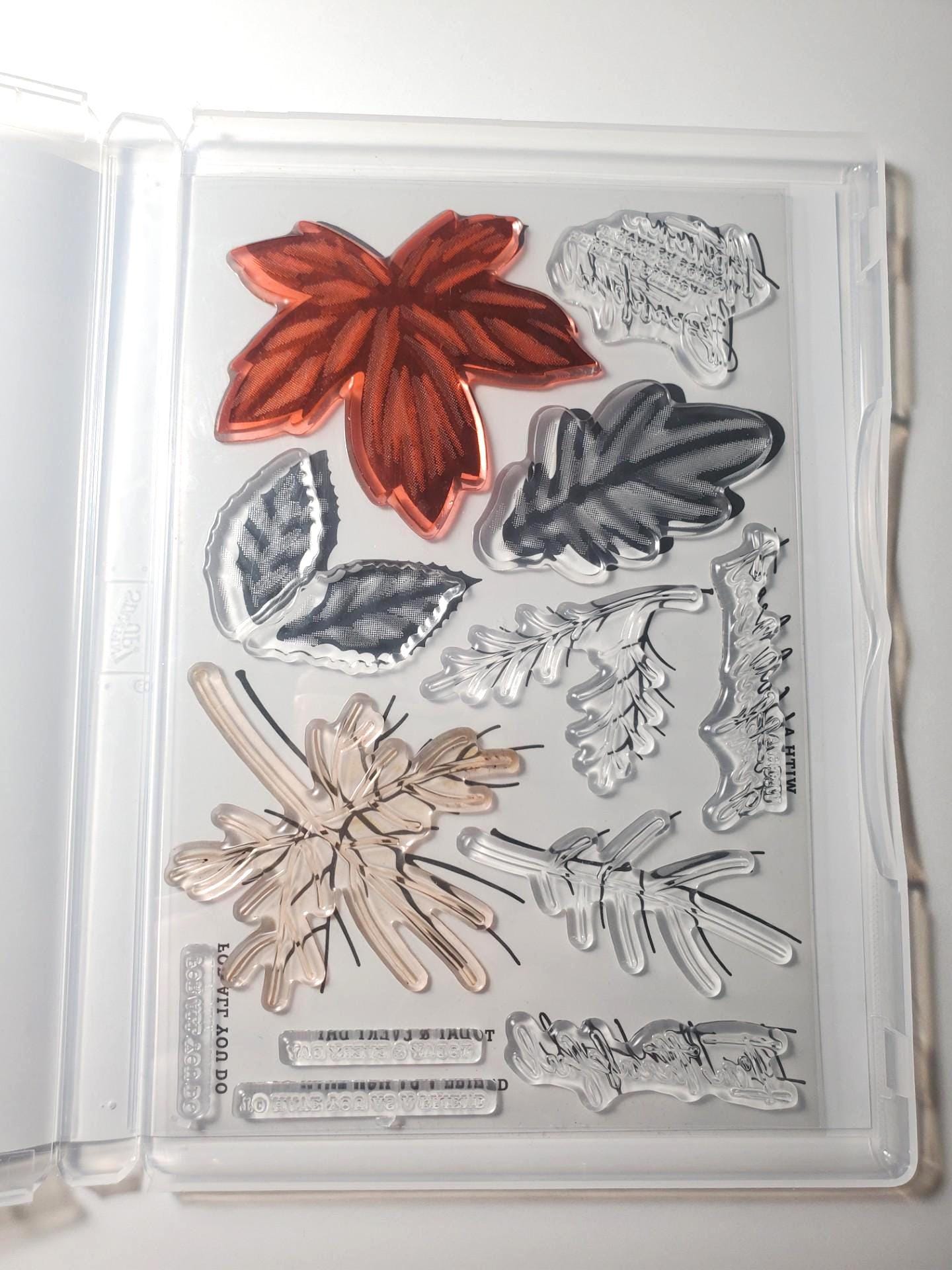 Autumn Leaves Photopolymer Stampin' Up! Stamp Set and Coordinating Dies ...