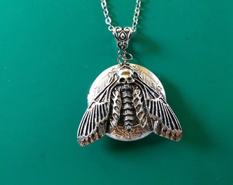 Moth Locket Necklace Great Gift Birthday Christmas Stocking Stuffer Anniversary Thanksgiving Fall Trends