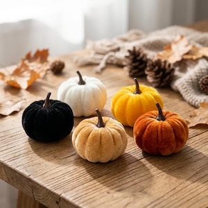 Set med 5 mini pumpadekorationer höst halloweendekor liten sammet höstbordsdekoration heminredning orange gul vit svart skörd