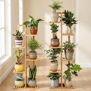 May include: Two tiered bamboo plant stands featuring multiple shelves holding various potted plants. The stands have a light wood finish and a vertical structure with staggered platforms. The plants include succulents, leafy greens, and small trees in ceramic and glass pots.