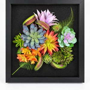 May include: A square black shadow box frame containing an arrangement of artificial succulents and Venus flytraps. The plants feature shades of green, orange, yellow, purple, and pink, set against a textured black fabric background.