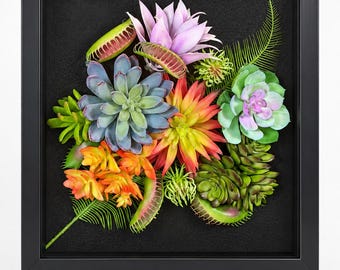 May include: A square black shadow box frame containing an arrangement of artificial succulents and Venus flytraps. The plants feature shades of green, orange, yellow, purple, and pink, set against a textured black fabric background.