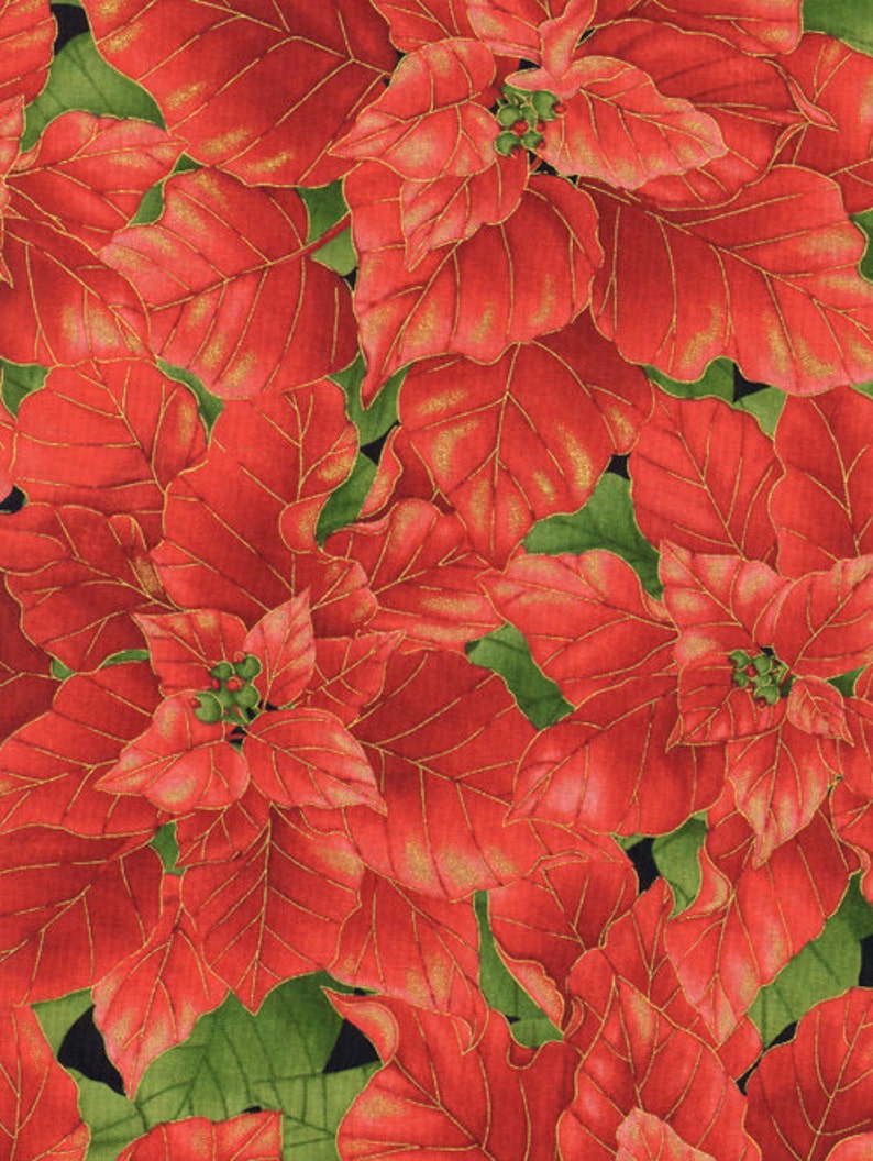 Puede incluir: Primer plano de una flor de poinsettia roja con detalles dorados. Las hojas est&aacute;n dispuestas en un patr&oacute;n sim&eacute;trico, creando un dise&ntilde;o festivo y elegante.