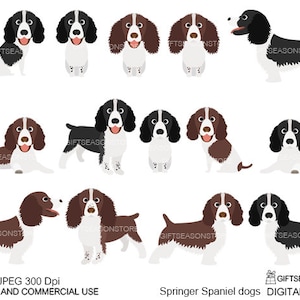 Springer spaniel dogs digital clip art for Personal and Commercial use - INSTANT DOWNLOAD