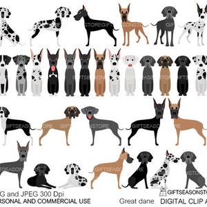 Great dane  Digital clip art for Personal and Commercial use - INSTANT DOWNLOAD