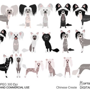 Chinese crested dog digital paper doodle dog digital backgrounds  - INSTANT DOWNLOAD
