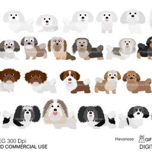 Havanese dogs digital clip art for Personal and Commercial use - INSTANT DOWNLOAD