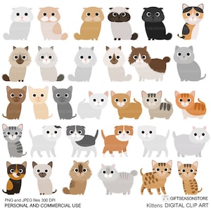 Kittens Digital clip art part 1 for Personal and Commercial use - INSTANT DOWNLOAD