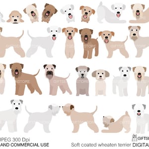 Soft coated wheaten terrier Dogs digital clip art for Personal and Commercial use - INSTANT DOWNLOAD