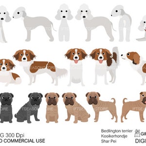 Bedlington terrier, Kooikerhondje, Shar Pei cani clip art digitale per uso personale e commerciale - DOWNLOAD IMMEDIATO