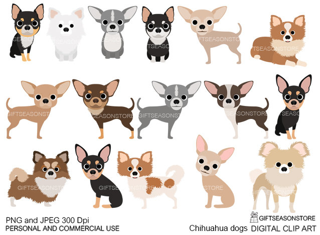 Chihuahua dogs  part 2 digital clip art for Personal and Commercial use - INSTANT DOWNLOAD