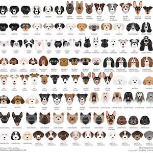 Dog face  digital clip art part 3 for Personal and Commercial use - INSTANT DOWNLOAD