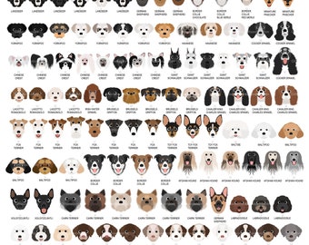 May include: A chart of dog breeds with illustrations of their faces. The chart includes breeds such as Landseer, Yorkshire Terrier, Chinese Crested, Lagotto Romagnolo, Fox Terrier, Maltipoo, Xoloitzcuintli, Cairn Terrier, Labradoodle, and Afghan Hound.