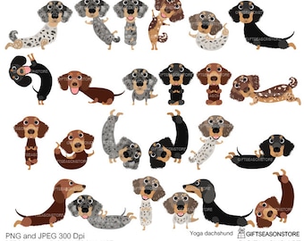 Yoga dachshund digital clip art for Personal and Commercial use - INSTANT DOWNLOAD