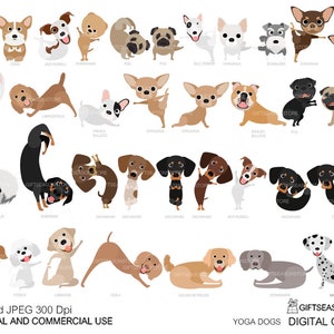 Yoga dogs digital clip art for Personal and Commercial use - INSTANT DOWNLOAD