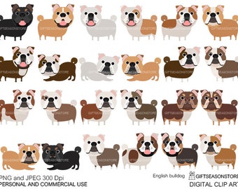 English bulldog digital clip art for Personal and Commercial use - INSTANT DOWNLOAD
