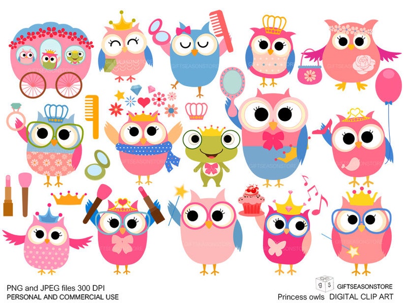 Princess owl Digital clip art for Personal and Commercial use INSTANT DOWNLOAD image 1