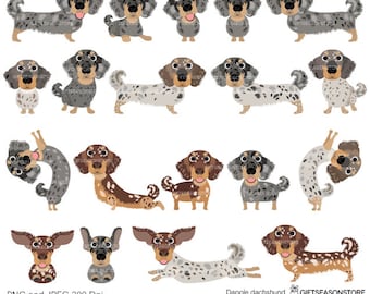 Dapple dachshund digital clip art for Personal and Commercial use - INSTANT DOWNLOAD