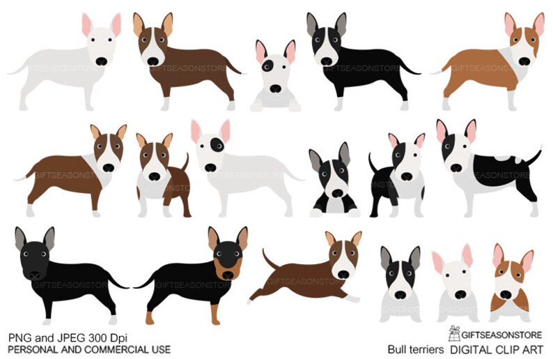 Bull terriers digital clip art for Personal and Commercial use | Etsy