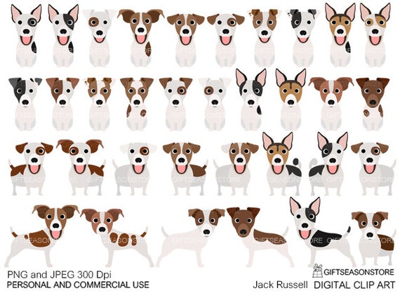 Jack Russell dogs digital clip art for Personal and Commercial use -  INSTANT DOWNLOAD