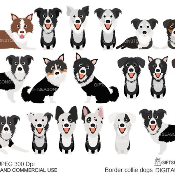 Border collie dogs clip art for Personal and Commercial use - INSTANT DOWNLOAD