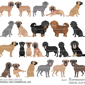 Mastiff dogs digital clip art for Personal and Commercial use - INSTANT DOWNLOAD