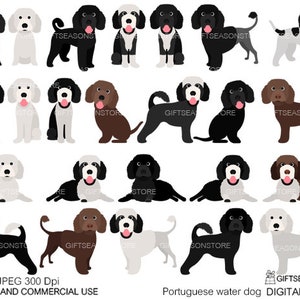 Portuguese water dog Digital clip art for Personal and Commercial use - INSTANT DOWNLOAD
