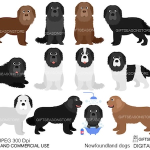 Newfoundland dogs digital clip art for Personal and Commercial use - INSTANT DOWNLOAD