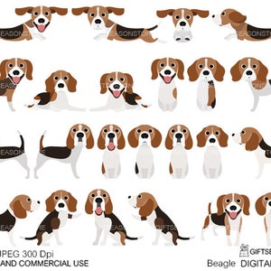 Image clipart numérique de chiens Beagle pour un usage personnel et commercial - TÉLÉCHARGEMENT IMMÉDIAT