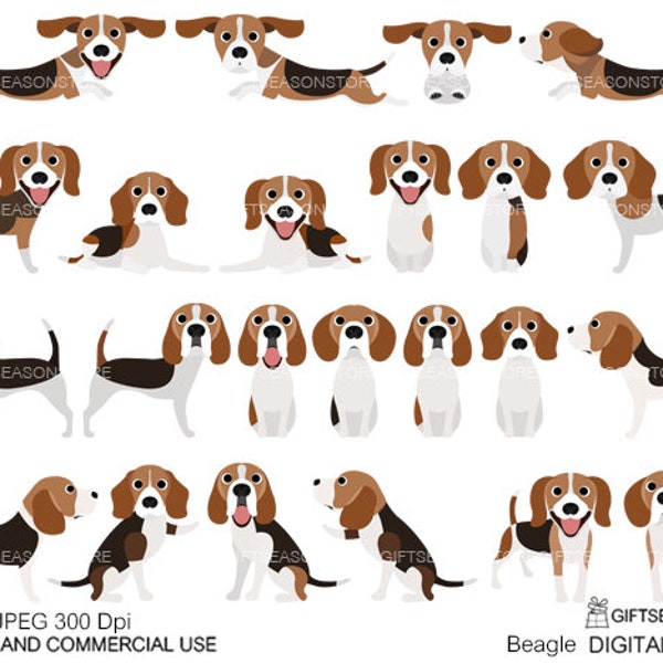 Beagle dogs digital clip art for Personal and Commercial use - INSTANT DOWNLOAD