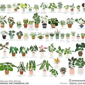 Roślina Cyfrowa grafika clipart część 1 do użytku osobistego i komercyjnego - NATYCHMIASTOWE POBIERANIE