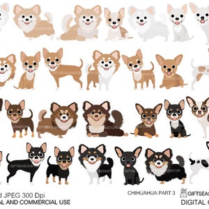 Chihuahua cani parte 3 clip art digitale per uso personale e commerciale - DOWNLOAD IMMEDIATO