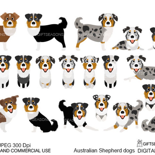 Australian Shepherd dogs digital clip art for Personal and Commercial use - INSTANT DOWNLOAD