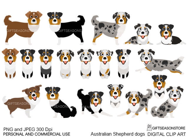 Australian Shepherd Dogs Digital Clip Art for Personal and - Etsy