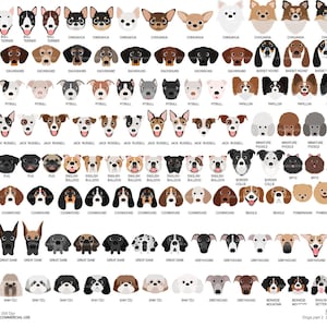 Hond gezicht part2 digitale illustraties voor persoonlijk en commercieel gebruik - INSTANT DOWNLOAD