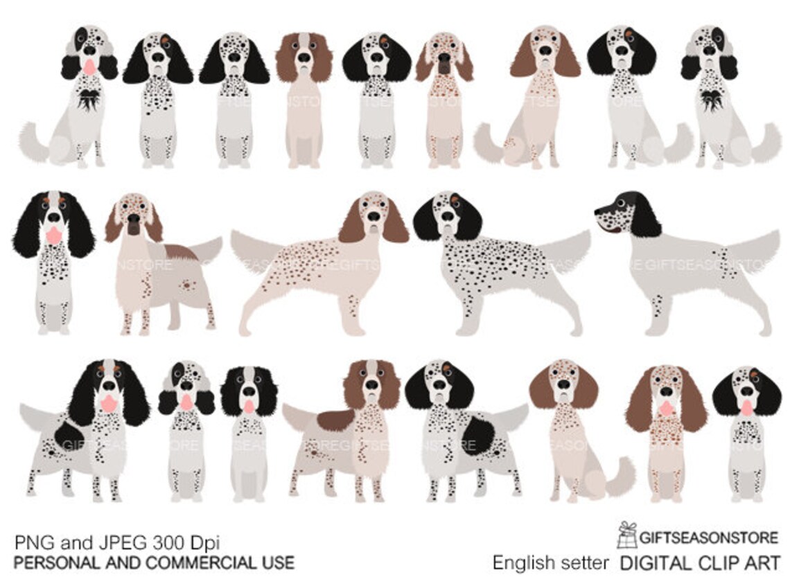 English Setter Dogs Digital Clip Art for Personal and | Etsy