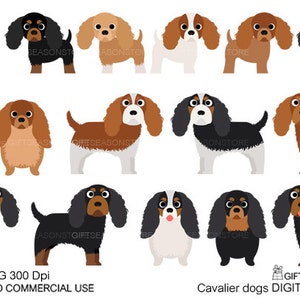 Cavalier dogs digital clip art for Personal and Commercial use - INSTANT DOWNLOAD