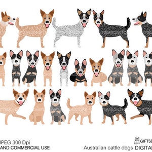 Clipart digitale per cani da bestiame australiani per uso personale e commerciale - DOWNLOAD ISTANTANEO