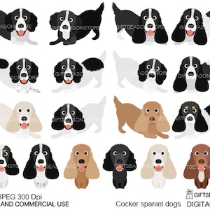 Cocker spaniel dogs digital clip art for Personal and Commercial use - INSTANT DOWNLOAD