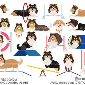 Agility sheltie dog Digital clip art for Personal and Commercial use - INSTANT DOWNLOAD