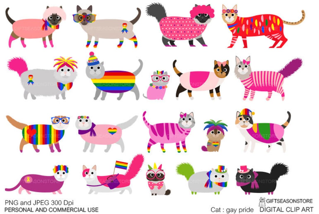 Pin by evelyn on cat  Cat icon, Cute cats, Cats and kittens
