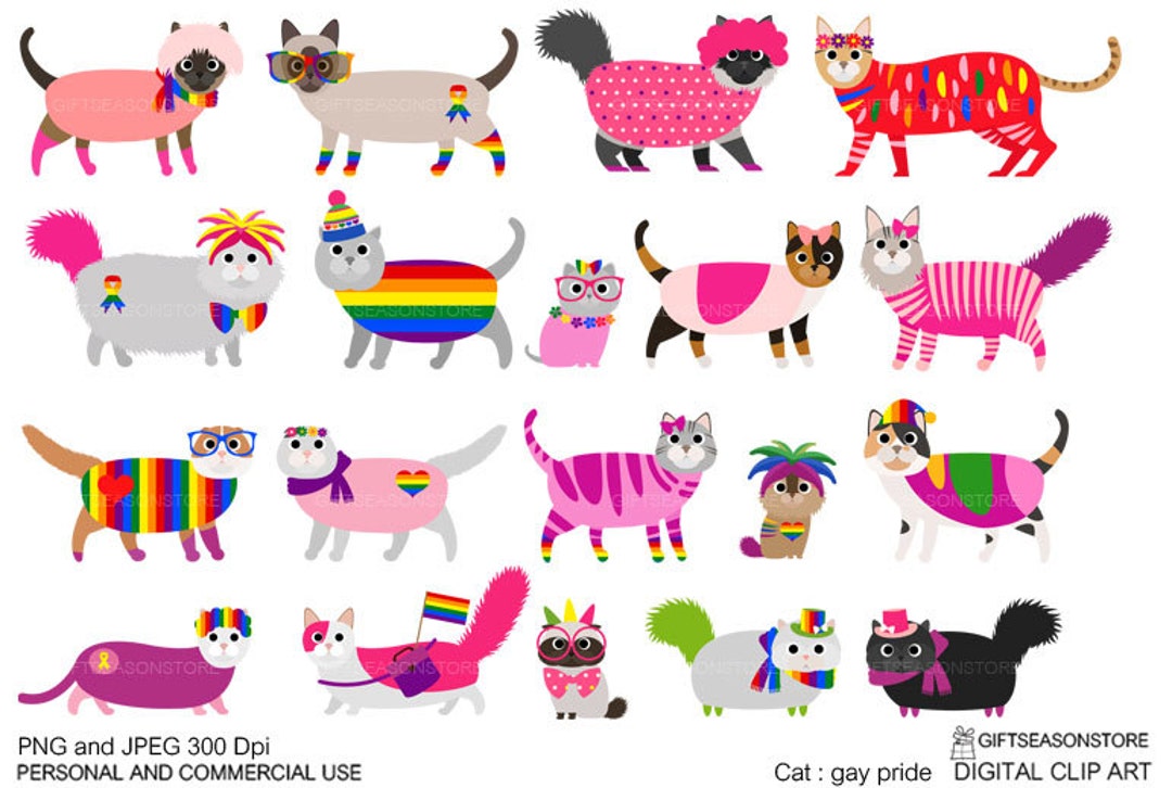 Pin by evelyn on cat  Cat icon, Cute cats, Cats and kittens