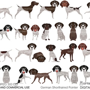 German Shorthaired Pointer Digital clip art for Personal and Commercial use - INSTANT DOWNLOAD