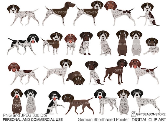 German Shorthaired Pointer Digital clip art for Personal and Commercial use INSTANT DOWNLOAD