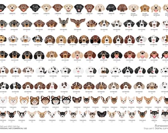 Dog face digital clip art part 5 for Personal and Commercial use - INSTANT DOWNLOAD