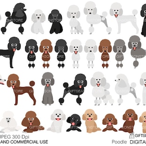Poodle dog Digital clip art for Personal and Commercial use - INSTANT DOWNLOAD